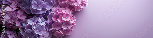 AI art, hydrangea background　紫陽花の背景 © yasusu