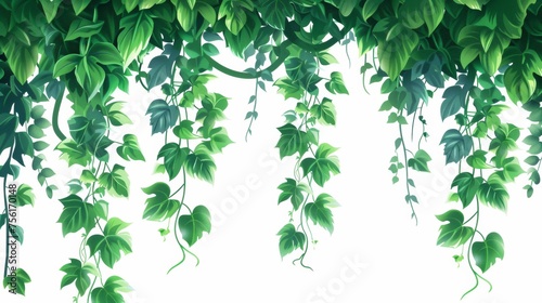 Green jungle liana vine with long stem and rope. Cartoon modern illustration of rainforest tree climber with foliage. Tropical hanging vegetation frame.