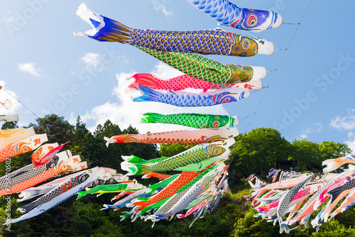 日本の風景・春 群馬県神流町 神流川公園の鯉のぼり