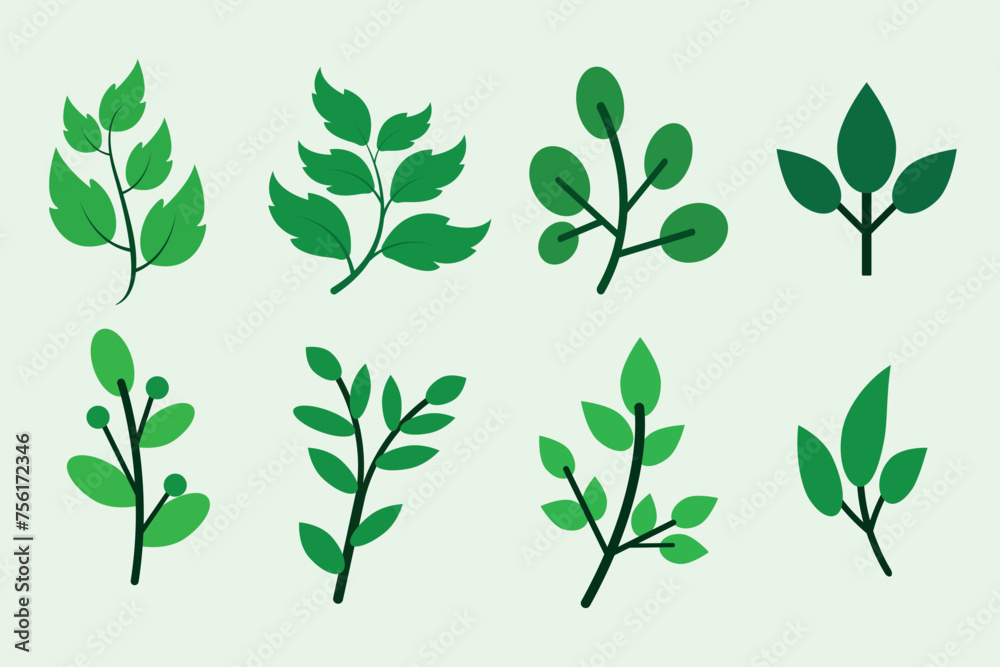 a set of different leaves illustration design a set of different leaves illustration design