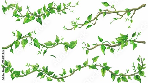 Set of liana branch frames with green leaves isolated on white background. Modern cartoon illustration for UI design, exotic tropical garden border. photo