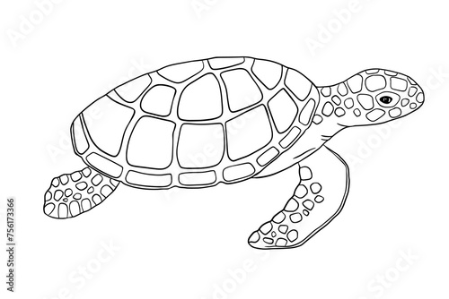 Vector outline sea turtle isolated on white background. Hand drawn line doodle illustration ocean or underwater animal
