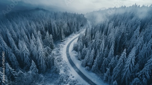 winter landscape with pine forest in snow. There is a curved road on a cloudy day in the mountains. photo