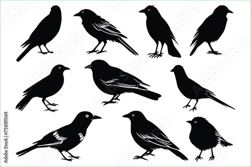 Wallpaper Mural Illustration drawing style of parrot birds,
The set silhouettes of flying swallows,
Vector silhouette flying birds on white background Torontodigital.ca