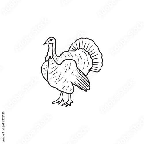 Realistic beautiful turkey cock, gobbler standing in black isolated on white background. Hand drawn vector sketch illustration in doodle engraved line art vintage style. Domestic farm poultry.