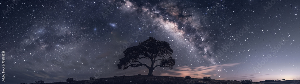 Night’s Symphony: The Harmony of Stars and Scenery