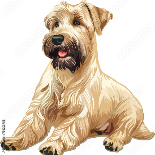 Soft Coated Wheaten Terrier Clipart isolated on white background 