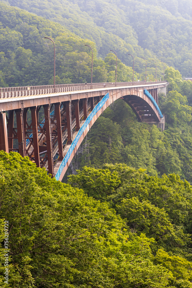 Lush Greenery Frames Jogakuraohashi Bridge in Japan Lush Greenery Frames Jogakuraohashi Bridge in Japan