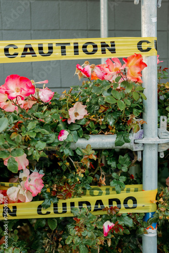 Caution Sign around Flower Bush