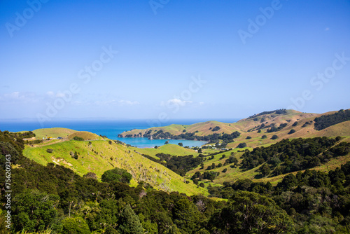 Lush Green Hills of New Zealand on Sunny Day