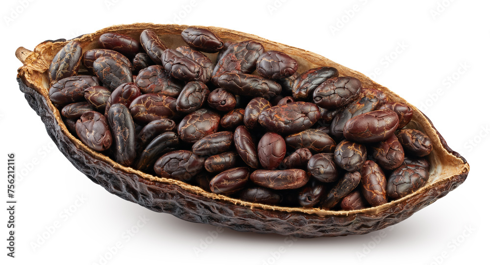 Cocoa pod isolated on white background Cocoa pod isolated on white background