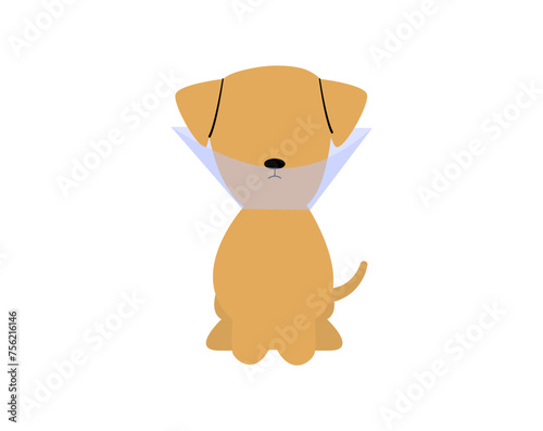 Pet veterinarian icon element. Dog in treatment using pet cone. Idea of pet care. Animal medical treatment. Vet and pet vector flat illustration.