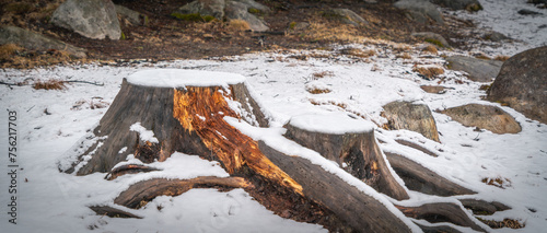 Whiteface Mountain in Winter 2024 photo