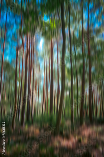 la forêt, flou artistique