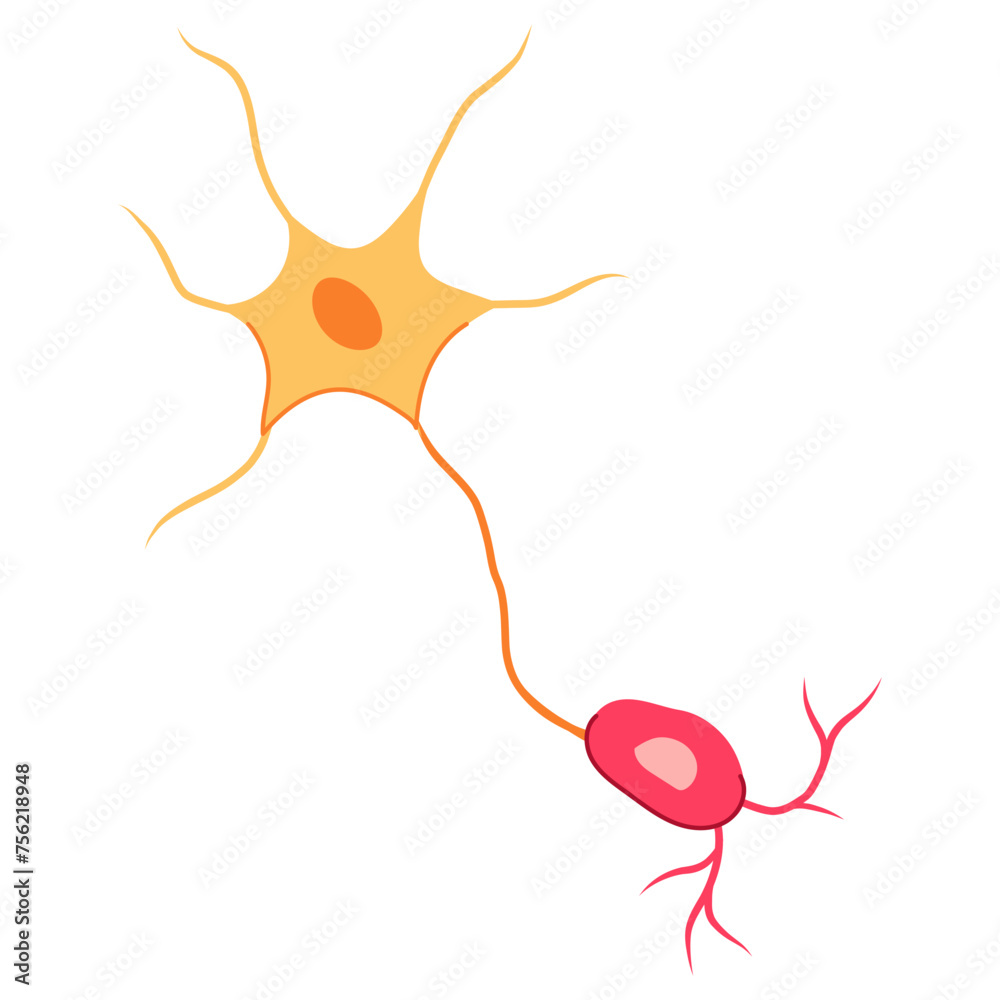 human neurons cartoon vector illustration human neurons cartoon vector illustration