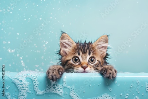Cute little kitten bathes in a bathtub with foam.