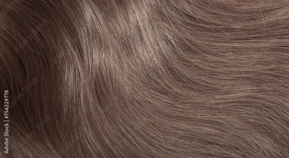 Naklejka premium Blond hair close-up as a background. Women's long light brown hair. Beautifully styled wavy shiny curls. Hair coloring. Hairdressing procedures, extension.
