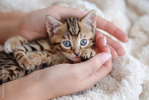 Cuddle Time A Kitten's Adorable Moment Generative AI