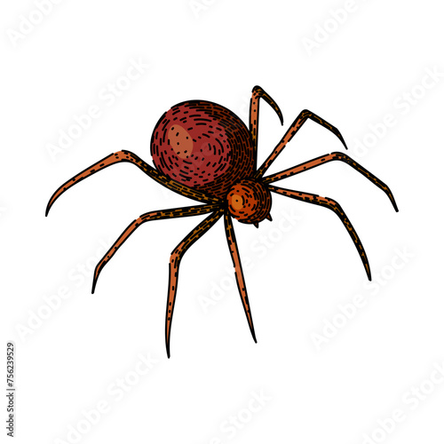 spider hand drawn. vector cobweb, texture helloween, frame decor spider vector sketch. isolated color illustration