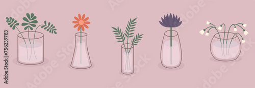Different flowers, plant leaves. Glass vases with water. Flower in vase set line. Daisy chamomile, gerbera, aster, lily of valley icon. Ceramic Pottery decoration. Pink background. Flat design.