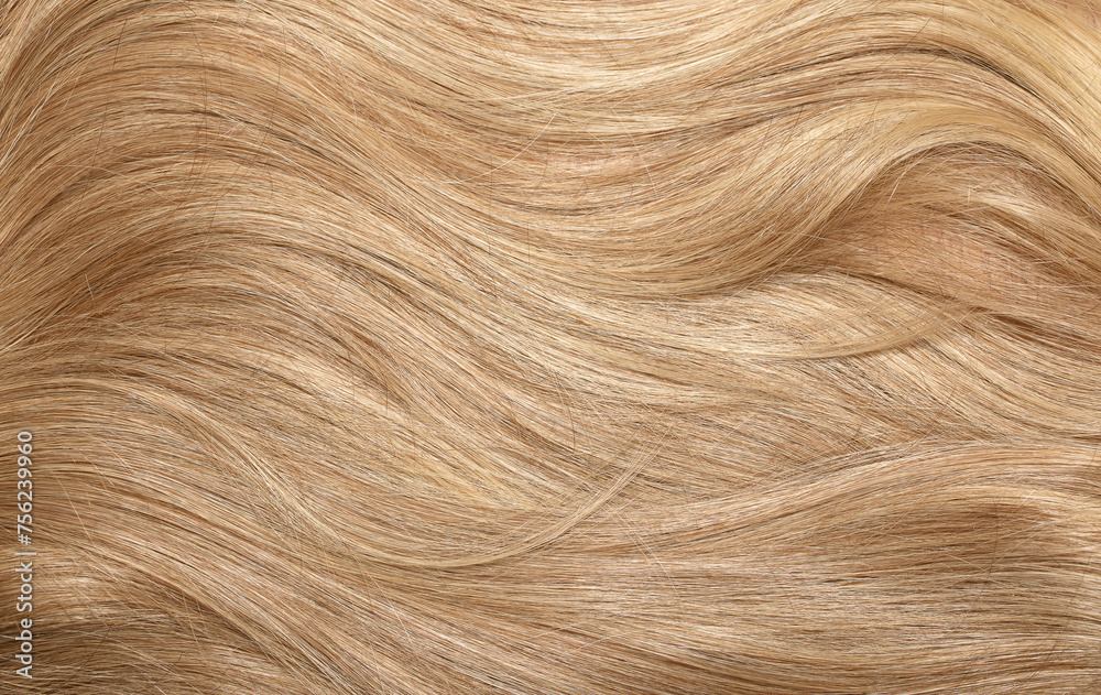 Naklejka premium Blond hair close-up as a background. Women's long blonde hair. Beautifully styled wavy shiny curls. Hair coloring. Hairdressing procedures, extension.