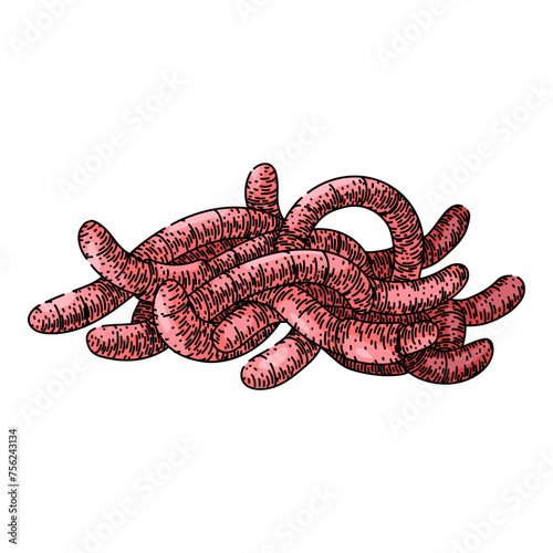 soil worm hand drawn. simple vector, earth pink, compost garden soil worm vector sketch. isolated color illustration