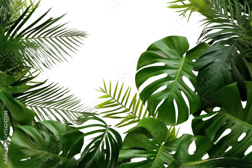 Border frame of green tropical leaves on transparent background