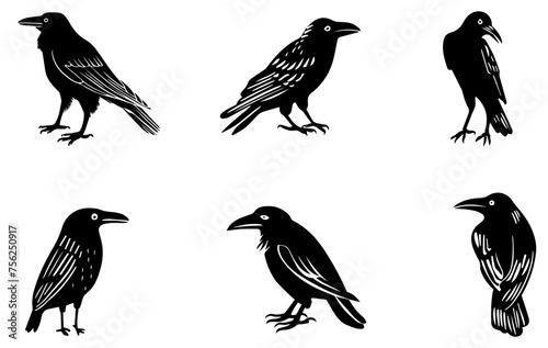 Crow raven vector transparent background PNG clipart