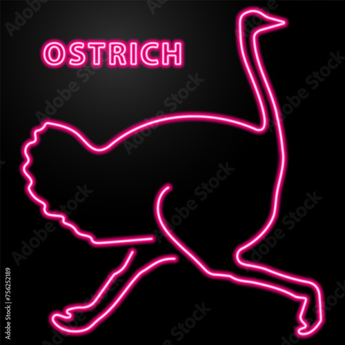 ostrich neon sign, modern glowing banner design, colorful modern design trend on black background. Vector illustration. photo