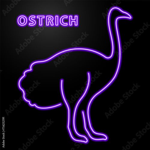 ostrich neon sign, modern glowing banner design, colorful modern design trend on black background. Vector illustration. photo