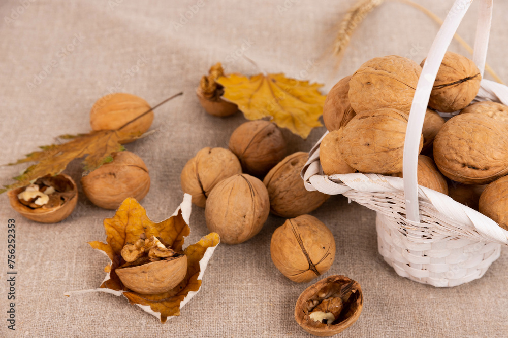 Ripe walnuts in a shell, in a basket and autumn leaves on a linen background. selective focus