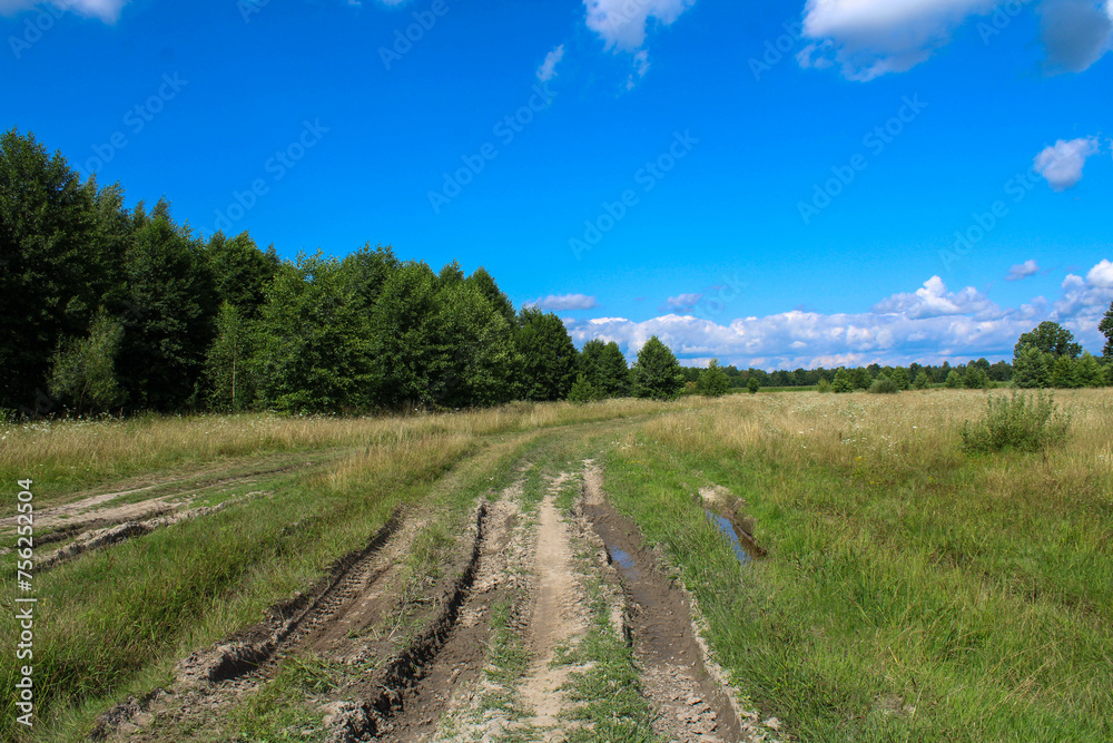 Broken dirt road in the field in front of the forest