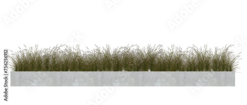 PNG  file of Grass, Plant bush in concrete planter on transparent background.