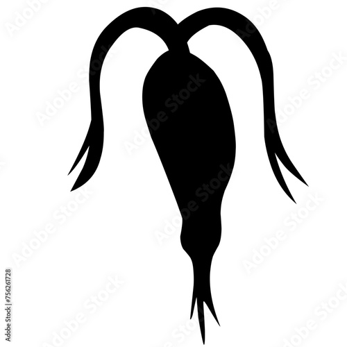 Sillhouette Copepod Microorganisms