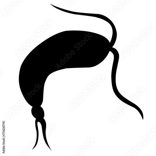 Sillhouette Copepod Microorganisms