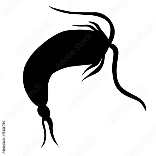 Sillhouette Copepod Microorganisms