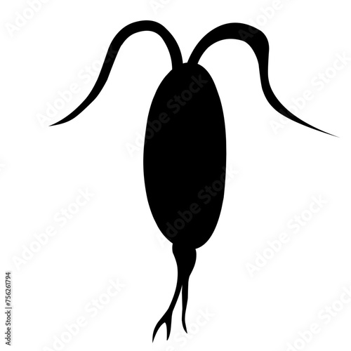 Sillhouette Copepod Microorganisms