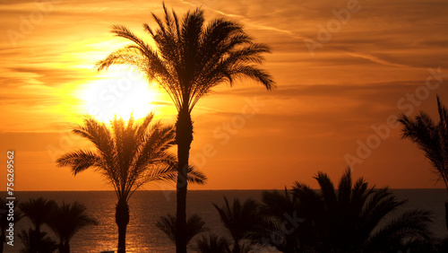 Egypt Sunrise on tropical beach