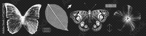 Field flower, leaf and butterflies retro photocopy effect set. Stippling, dotwork pattern 90s vintage images. Vintage negative halftone effect. Vector illustration photo