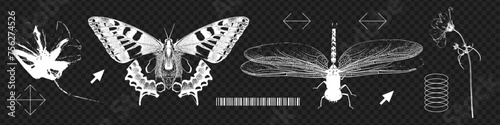 Vintage negative photocopy objects set, contemporary sticker design of dragonfly, butterfly, wild flowers silhouettes. Grunge noise monochrome tattoo, brutalism art aesthetic. Futuristic retro effect