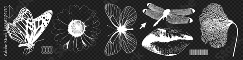 Trendy summer nature elements with a retro halftone negative photocopy effect. Butterfly, dragonfly, flower, lips with Grain reticulation texture . Y2k vector grungy design