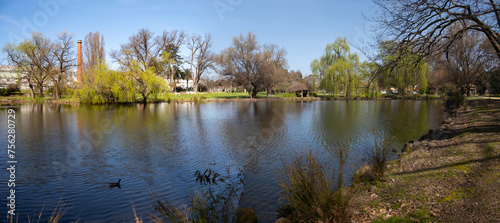 Panoramic view of tranquil Waters in pond surrounded by a variety of trees at Castlemaine Botanic Gardens, Australia. The historic town is a popular travel destination in regional Australia.
