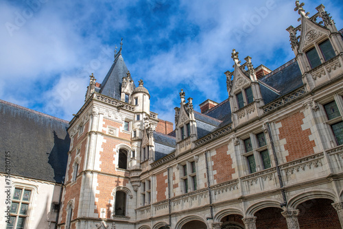 The castle in Blois in France