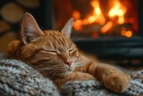 A serene ginger cat enjoys a restful sleep on a soft blanket, basking in the gentle warmth emanating from the glowing fireplace behind it.