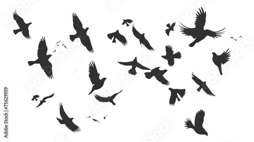 black silhouettes flow of birds in air. isolated on white background. png