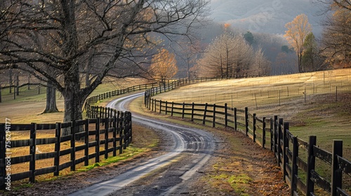 Leading Lines  Look for natural or man-made lines in your scene  such as roads  fences  or tree branches  that lead the viewer s eye toward the main subject. 