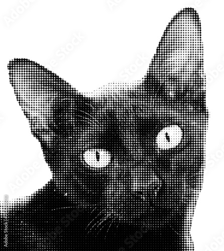 cat halftone collage element with grunge-dotted texture. Trendy modern retro illustration isolated on transparent background, Ideal for branding, packaging, prints