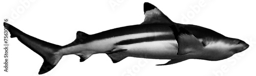 shark halftone collage element with grunge-dotted texture. Trendy modern retro illustration isolated on transparent background, Ideal for branding, packaging, prints