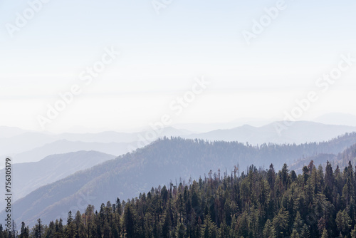 Mountain landscape in Yosemite National Park