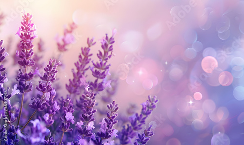 Lavender flowers closeup, macro shot with blurred background , Generative AI 